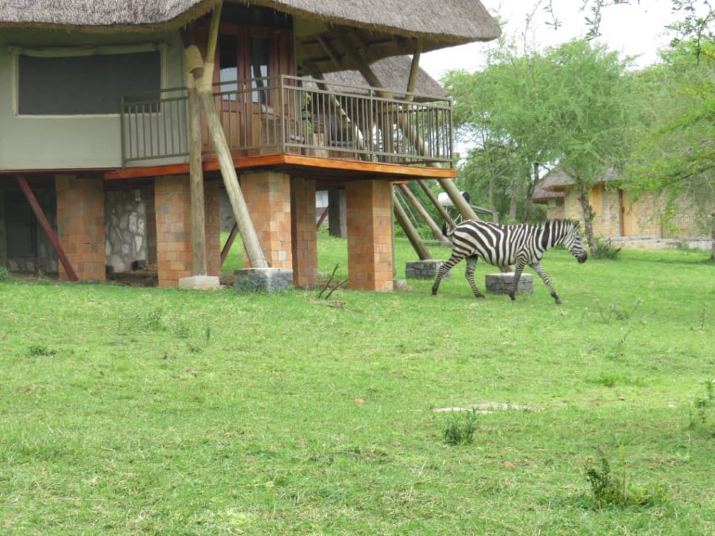 Lake Mburo National Park