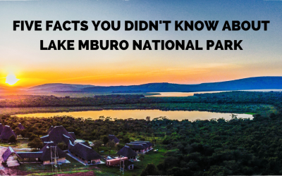 Lake Mburo National Park