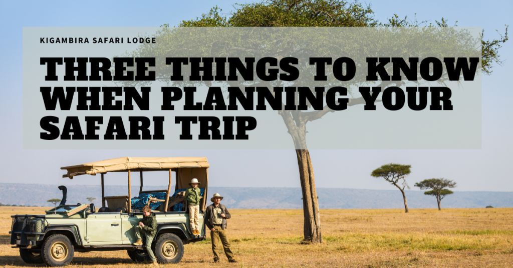 Travel essentials - Kigambira Safari Lodge